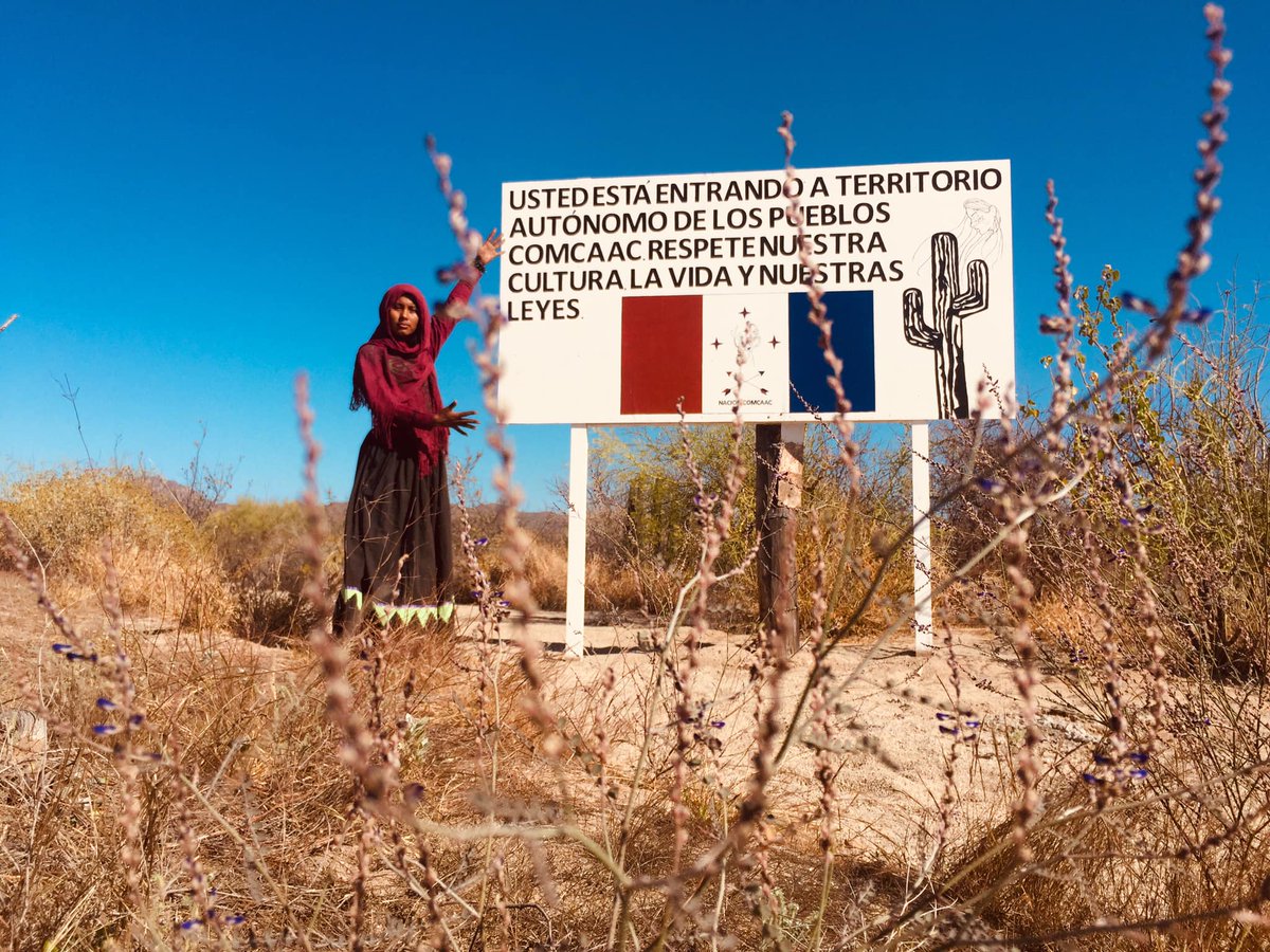 Modernización Carretera 36 a Desemboque de los Seris

No hay rescate de flora y fauna, ni sensibilidad para respetar el patrimonio natural que es intrínseco a la cultura #Comcaac.  El rescate debe ser previo, no posterior a la obra.

<a href="/INPImx/">INPI</a> @SCT_mx <a href="/SEMARNAT_mx/">SEMARNAT México</a> <a href="/BienestarSonora/">Bienestar Sonora</a>