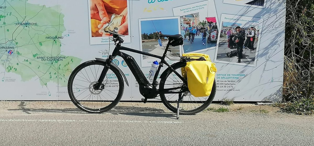 Fiona McEvoy ✨ tweet media