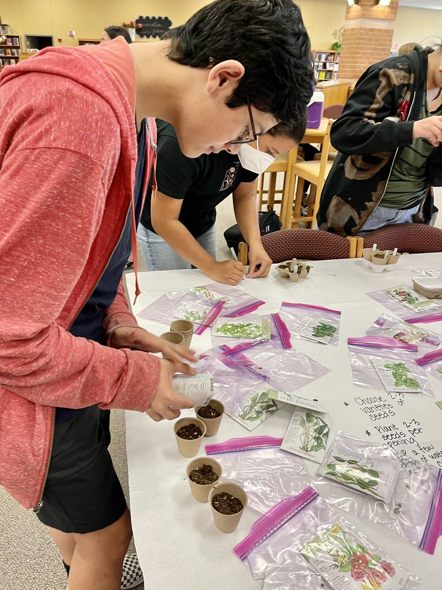 Rouse Librarian tweet media