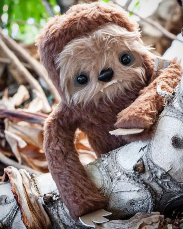FlatBonnie's tweet photo. Oh… It’s only Tuesday?? 🦥
(#tb to Chewloth)
#flatbonnie #chewloth #chewy #chewbacca #plush #cute #kawaii #itsonlytuesday #plushie #outandabout #lazyanimals #sloth #tot #teethout #teethouttuesday #babyanimals https://t.co/1ZKy7HIPB8