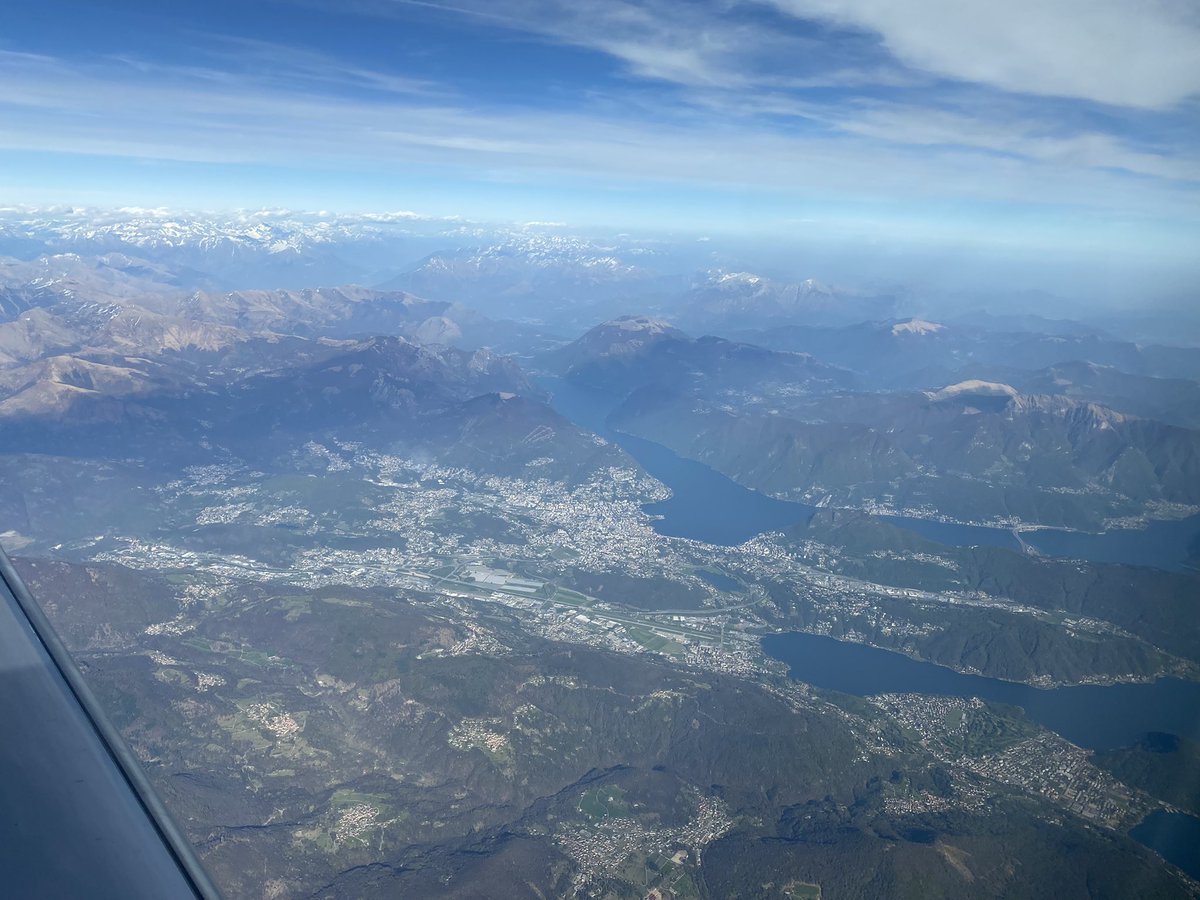 Dominic Harlow tweet media