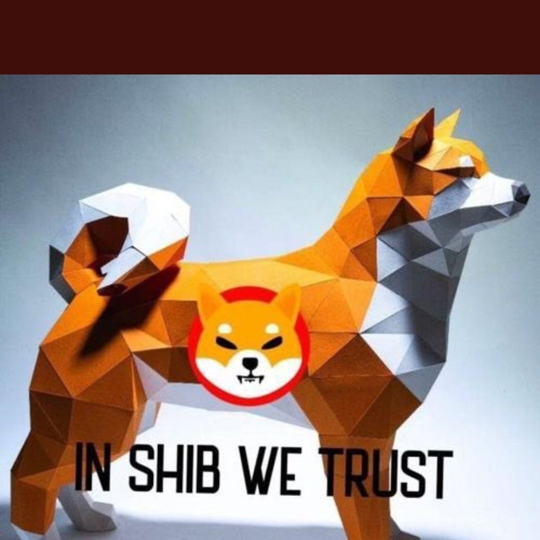 SARONE SHIB (COMUNIDAD HISPANO SHIB) tweet media