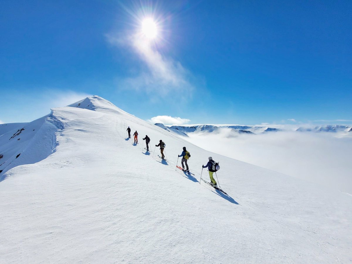 Al Powell tweet media