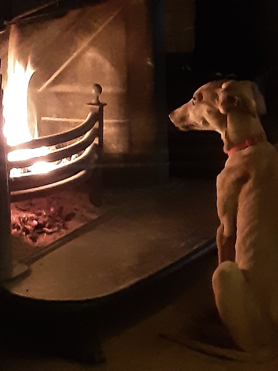 Where ever the heat was she was there 😁