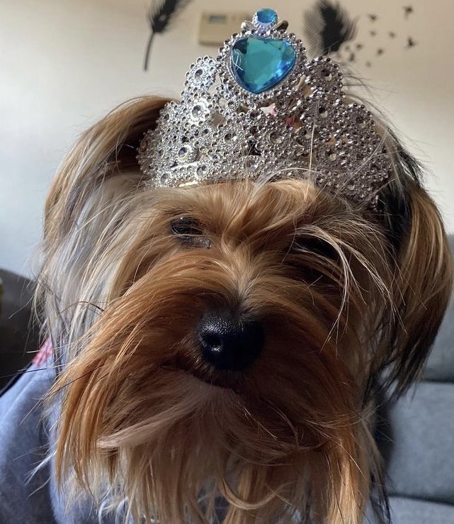 No todas las princesas llevan tacones 👠👸Buenas noches 😴♥️