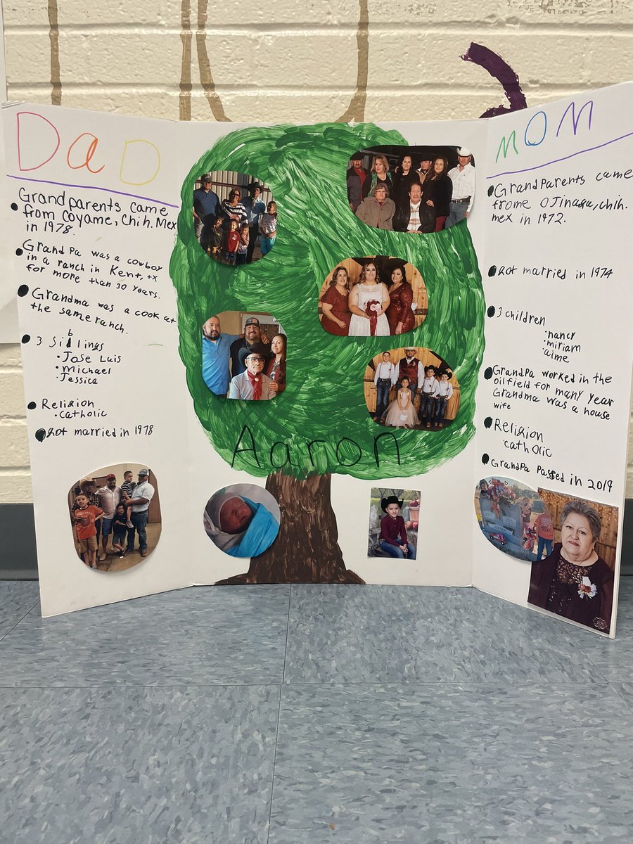 Mssalas01's tweet photo. Check these awesome family tree projects! 🌳Students are so excited to learn about each other’s cultures and family history!❤️ @ZavalaMagnet https://t.co/oLZE3yUvkc