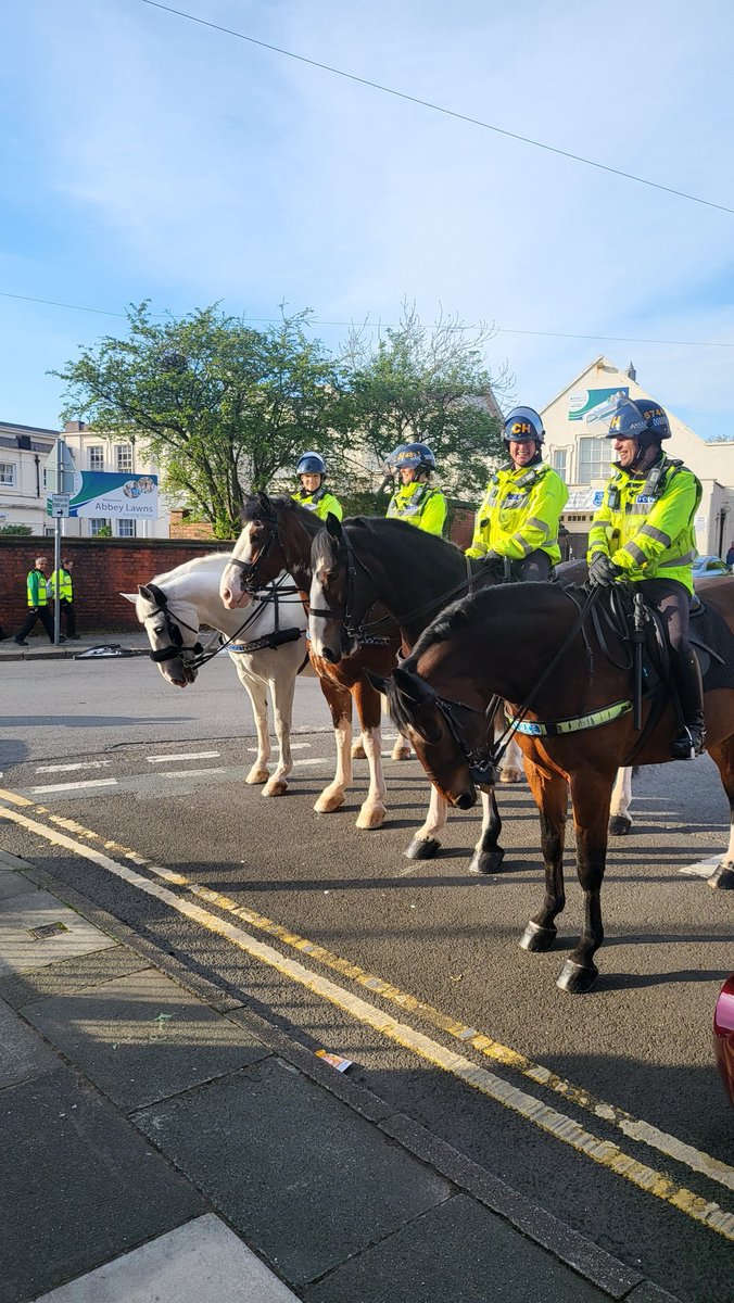 sammyricho's tweet photo. His night has been made. He was more excited to see @MerPolMounted @merseymountedpc, but a new scarf later, he enjoyed being at the match and he joined in 🥰, lucky boy #Ellis #LFCVMUFC #LFC https://t.co/Uoo6cRb7hs