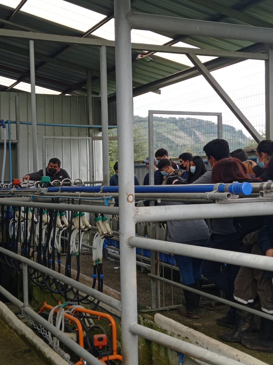 FTmacrozonasur's tweet photo. Estudiantes de la especialidad de Agropecuaria del Liceo PHP de #Pullinque visitaron dependencias de Lácteos Manquelaf, en la comunidad mapuche @PillanMapu de https://t.co/Z8mehUvQDF