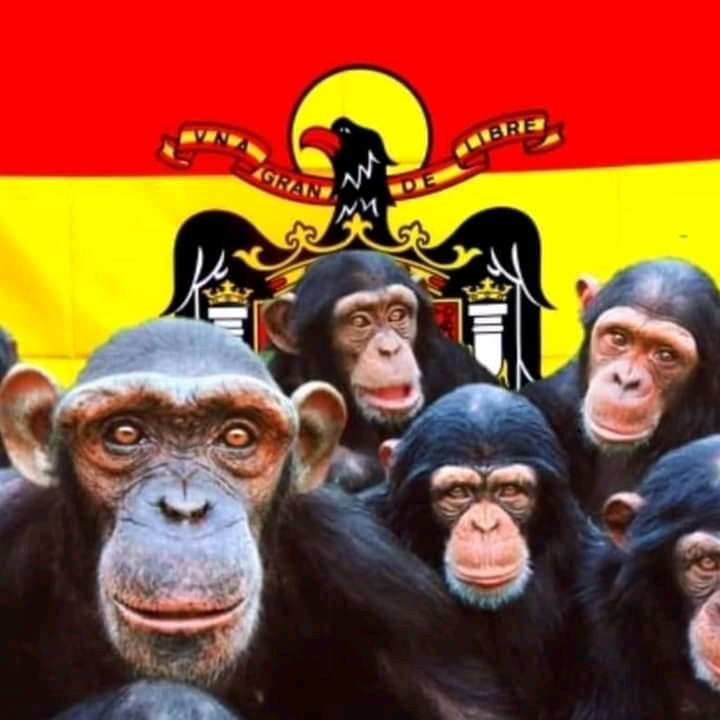 LoToni1's tweet photo. @ElHuffPost @nefeerr Asin?.. https://t.co/K9FmQmvVGF