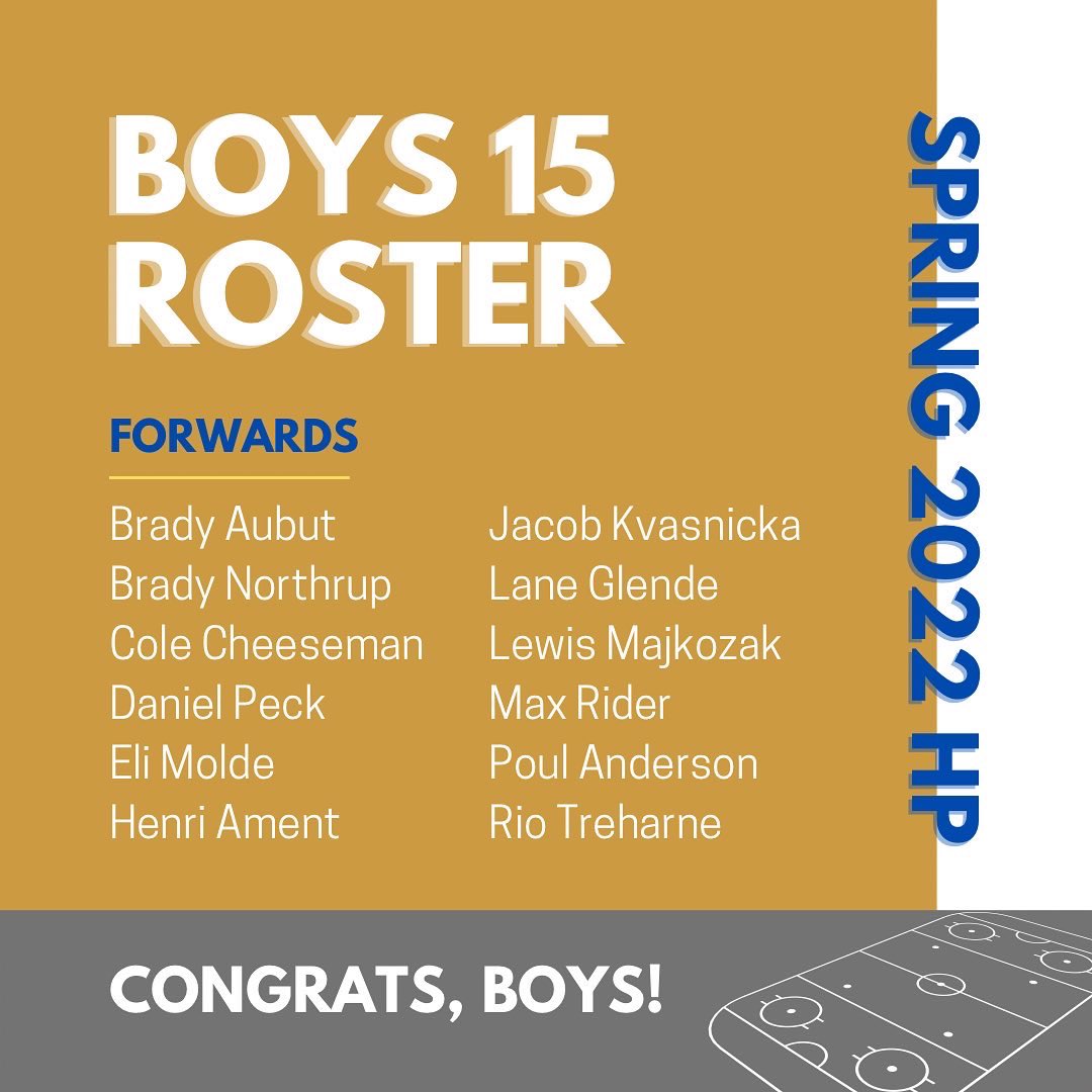 D3Walleye's tweet image. The D3 HP Boys 15 team!