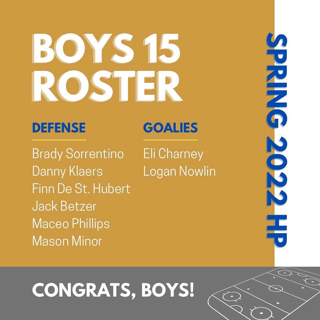 D3Walleye's tweet image. The D3 HP Boys 15 team!