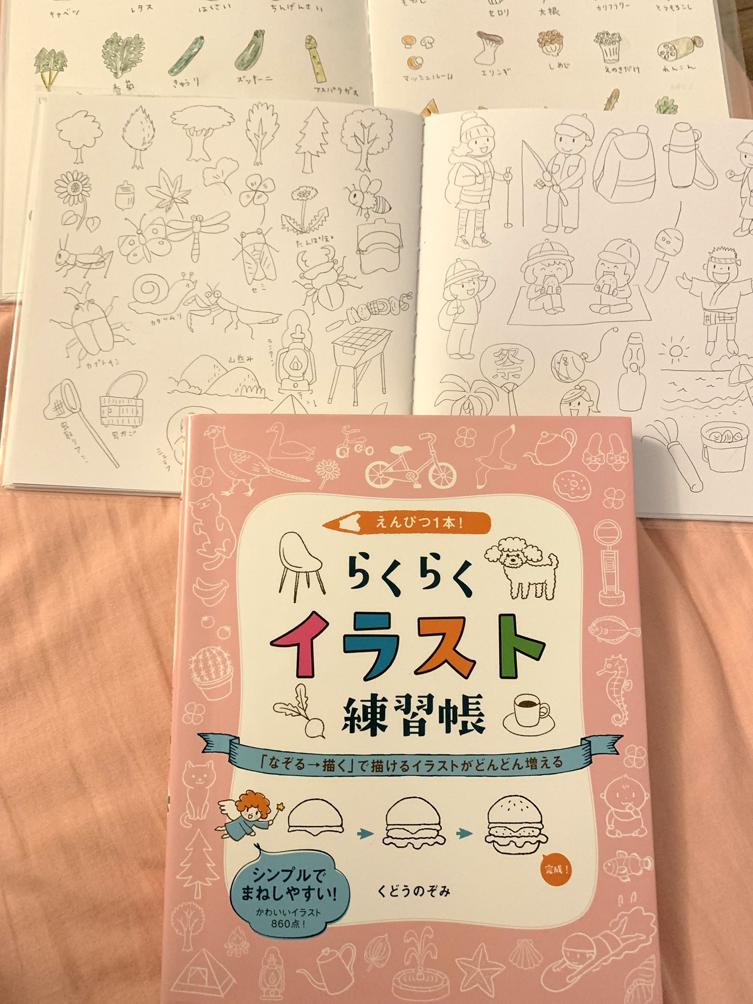 お母さん Otakocyan おはようございます 私も自閉症の子どもへの支援に絵を活用しようと思い 今年から練習 しているんですが この くどうのぞみさんの らくらくイラスト練習帳 がとてもわかりやすくて全ページ練習終了しました 上の絵が私がノート