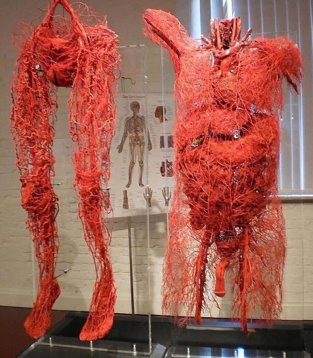 LalaDiturie's tweet image. Mind harte not gone syncrony usually
Mind is racional,harte is iracional 
We have one body with different feelings,mind say reasons,harte impulse electric say feeling chemistry love passion sex,which keep human separated what feel and what do,what think what do vepers
#iwantfall