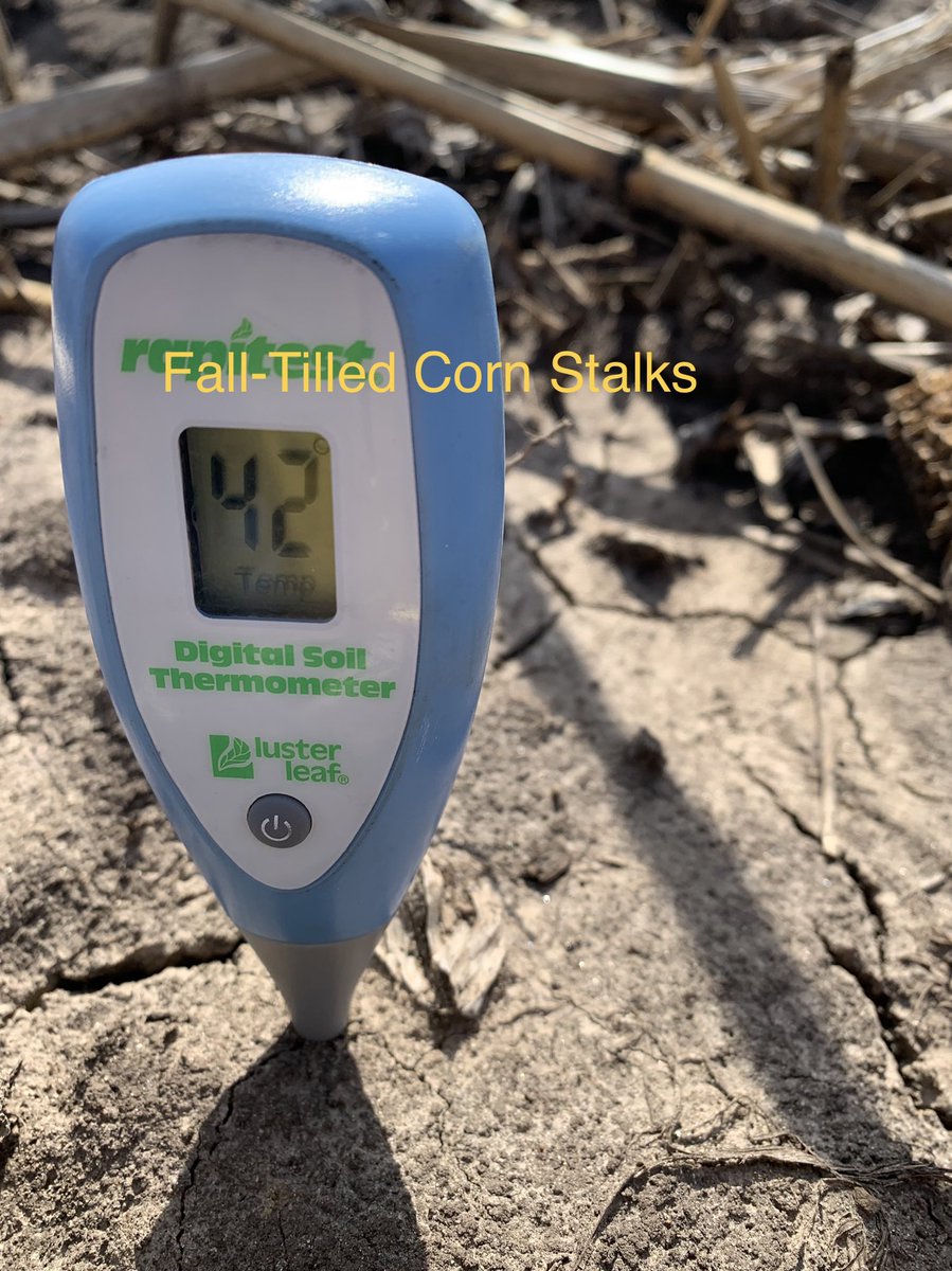 Andrew Rupe (@rupeandrew) on Twitter photo Little soil temp update in southern WI. These were all taken within 20’ of one another, right on crop line. Stark differences between what kind of soil exposure each spot had! Soil conditions are getting close to being dry enough in most spots #rootedin <a href="/GldnHarvest/">Golden Harvest Seeds</a> Little soil temp update in southern WI. These were all taken within 20’ of one another, right on crop line. Stark differences between what kind of soil exposure each spot had! Soil conditions are getting close to being dry enough in most spots #rootedin <a href="/GldnHarvest/">Golden Harvest Seeds</a>