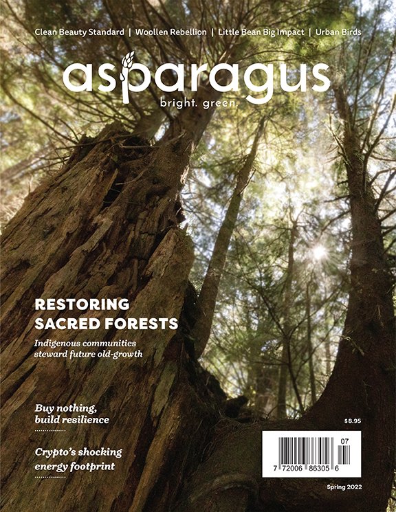 Asparagus Magazine's Spring 2022 issue is out! To celebrate, here's a 🧵 about all the delicious treats you'll find inside! (1/🧵)