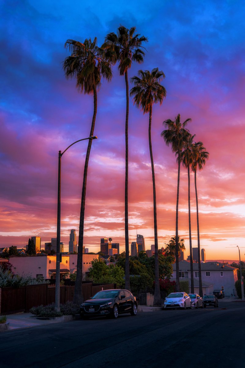 Hi frens ! I’ve been working on some web2 tings but should be back at the end of the month 🤍