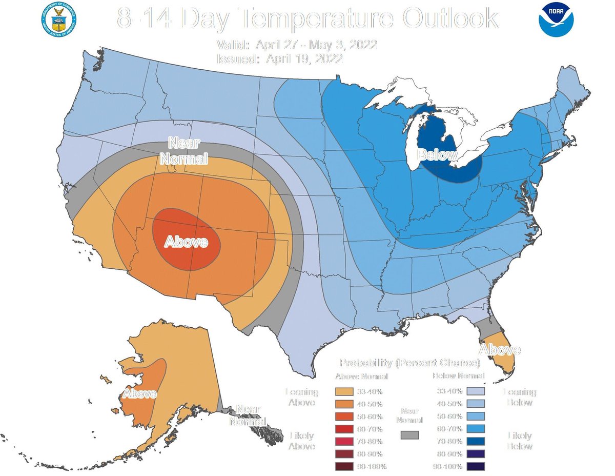 Michael Del Sontro tweet media
