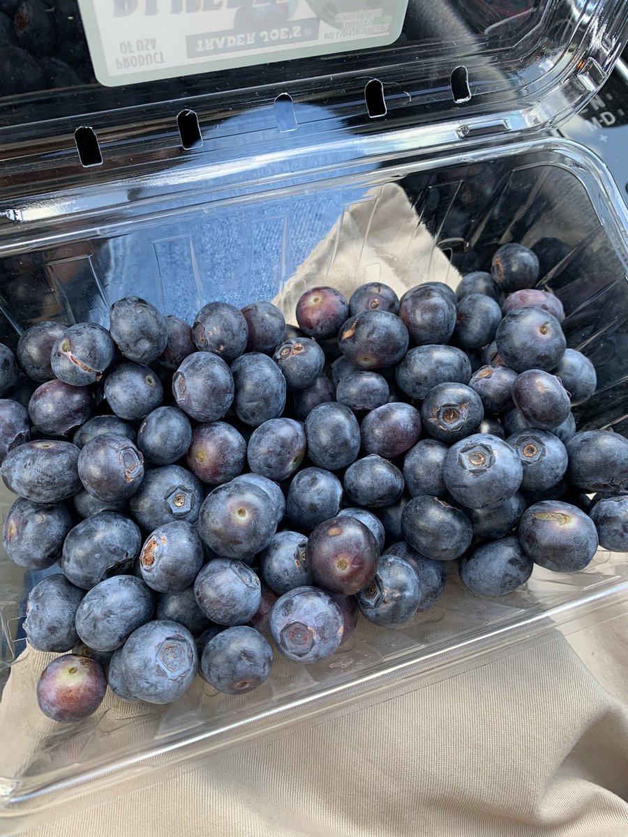 JulianeLeary's tweet photo. Volleyball mom snacking. https://t.co/22qzFo2TPy