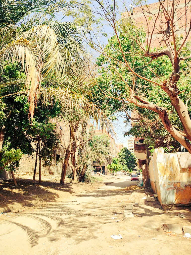 AECIDEGIPTO's tweet photo. 📍Today we have been in #Helwan, getting to know community-based➕ gender initiatives♀️
❎After Covid-19, #women face even more challenges than before & initiatives like these foster not only #economicdevelopment but also social empowerment
#SDG5 #Genderequality
@EmbEspEgipto https://t.co/mWNX6T07Zx