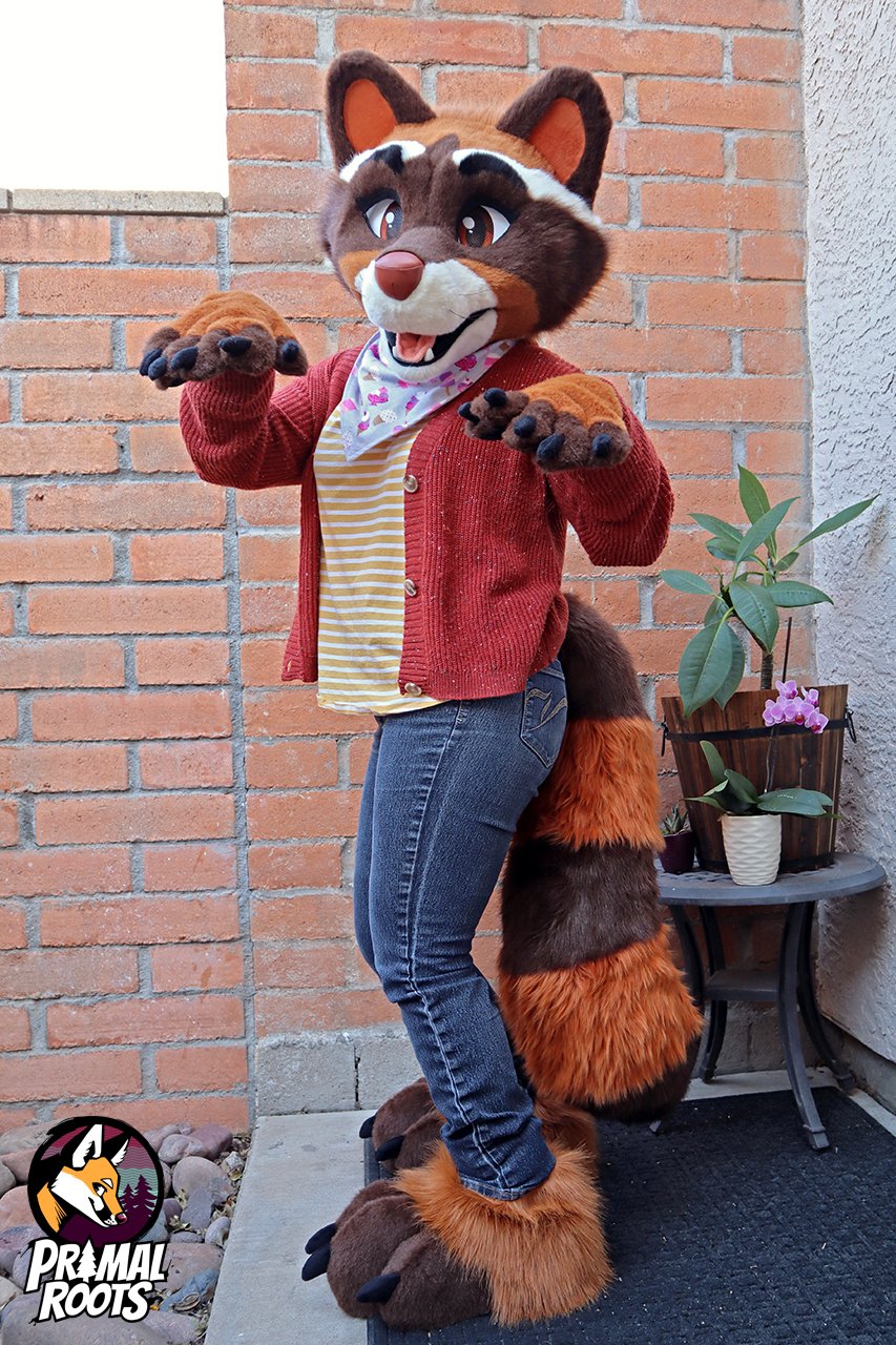 Cadence♡ 🔜 BLFC (CadenceWildcat) / Twitter