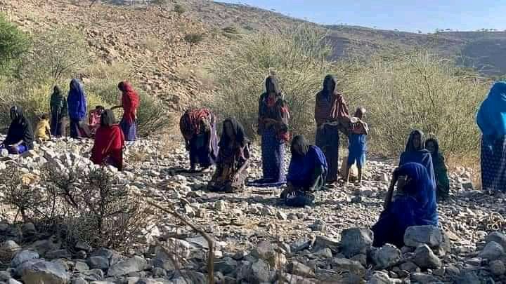 Let's focus on our displaced people in the northern part of the Afar region

       Do your best to knock on the door of peace. Do not be alarmed by the tongues that preach peace. Peace cannot be achieved without sacrifice but above all let us work for peace