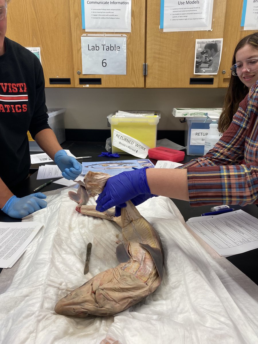 From celebrating our students in the GSA community during our last Affinity Luncheon of the year to watching students dissect sharks in Marine Bio! It’s all in a day’s work here at MV! ⁦<a href="/MVHS_Mustangs/">Monte Vista Mustangs</a>⁩ ⁦<a href="/CLRSRVUSD/">CLR/Equity SRVUSD</a>⁩