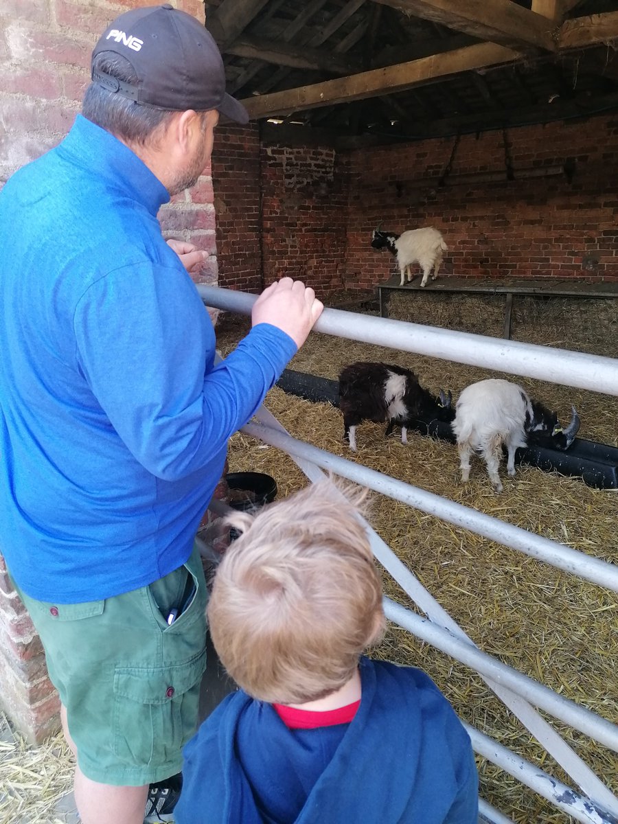 Leanne Teasdale tweet media