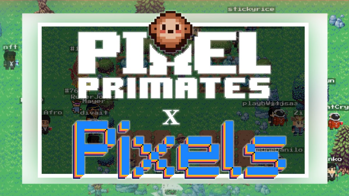 Pixel Primates tweet media