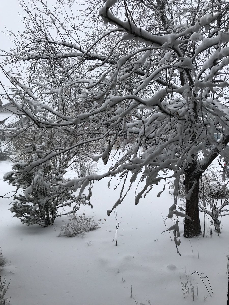 Teasy74485427's tweet photo. Dear Manitoba:
Sorry for making fun of you the other week.
Sincerely, Alberta  #ABstorm https://t.co/FtXbKa6aRt