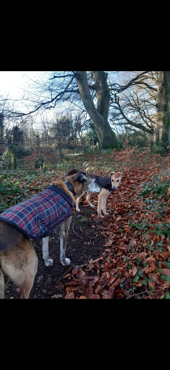 Don't forget your coats🥶