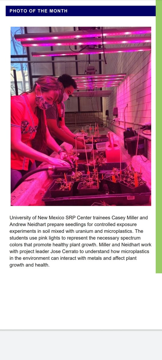 Thank you @SRP_NIEHS for featuring our students Casey Miller and Andrew Neidhart <a href="/MetalsSrp/">METALS_SRP</a> <a href="/UNM/">Univ. of New Mexico</a> <a href="/unmcwe/">UNM Center for Water and the Environment</a> <a href="/unmcop/">UNM College of Pharmacy</a> in the newsletter this month!! <a href="/CaseyMillerENGR/">Casey Miller</a> <a href="/JoseM_Cerrato/">Jose M. Cerrato</a> <a href="/jorgenvironment/">Jorge González Estrella</a> <a href="/NIMHD/">Health Disparities</a> #microplastics #metalsbioaccumulation