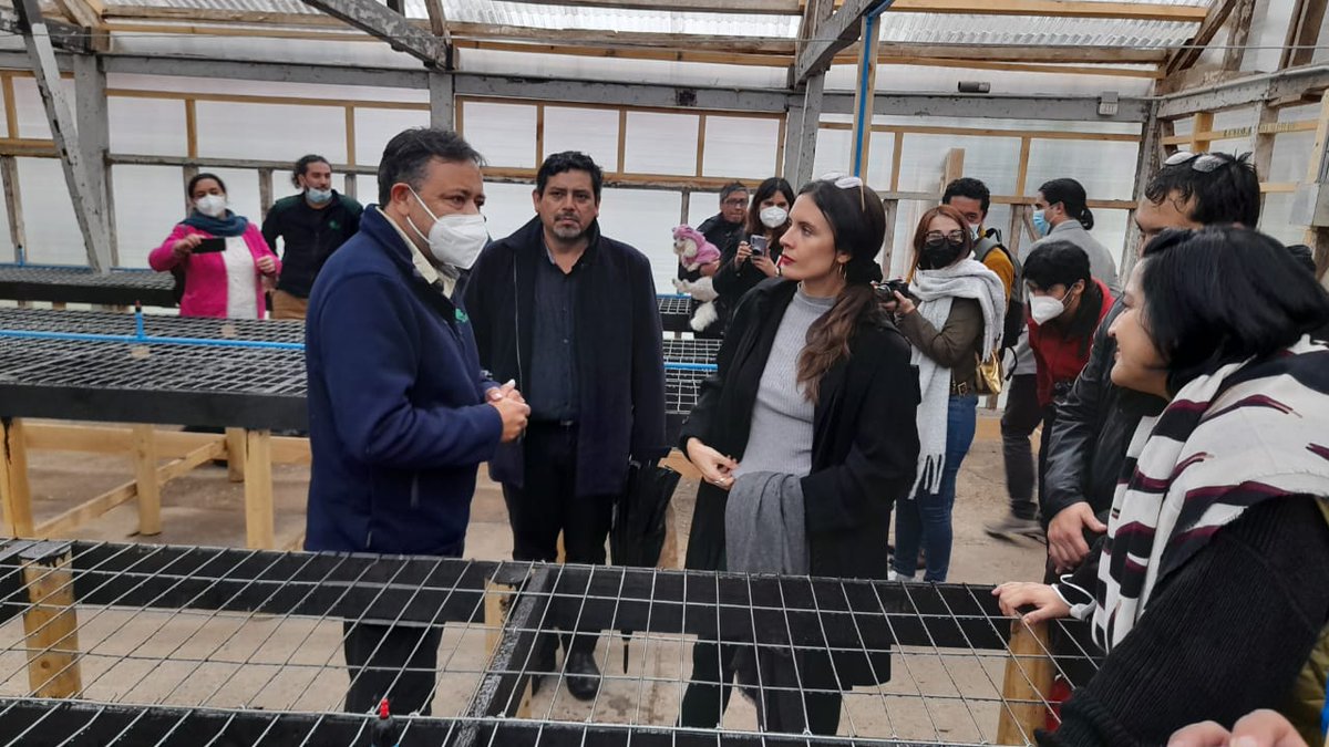 conaf_minagri's tweet photo. Ministra @camila_vallejo visitó instalaciones del vivero y centro de capacitación de #CONAFLosRíos, en convenio con la @munivaldivia en #ParqueSaval. 
🌳🍃 El vivero producirá cerca de 30 mil plantas nativas anuales, gracias al Plan de Recuperación Inclusiva #ChileApoya. https://t.co/4XT1GVVkEm
