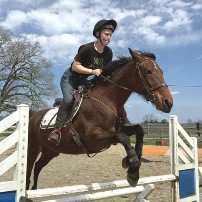 😍THE SUPER HORSE😍 Adopt her!

BFF Cam's Diva is a 15.2 hh, 13 year-old, bay mare. This could be anyone's dream horse! Diva is the first one to greet you in the field. She stands on the the cross ties, and loves to be loved on! This mare stands at the mounting block...
Adopt her