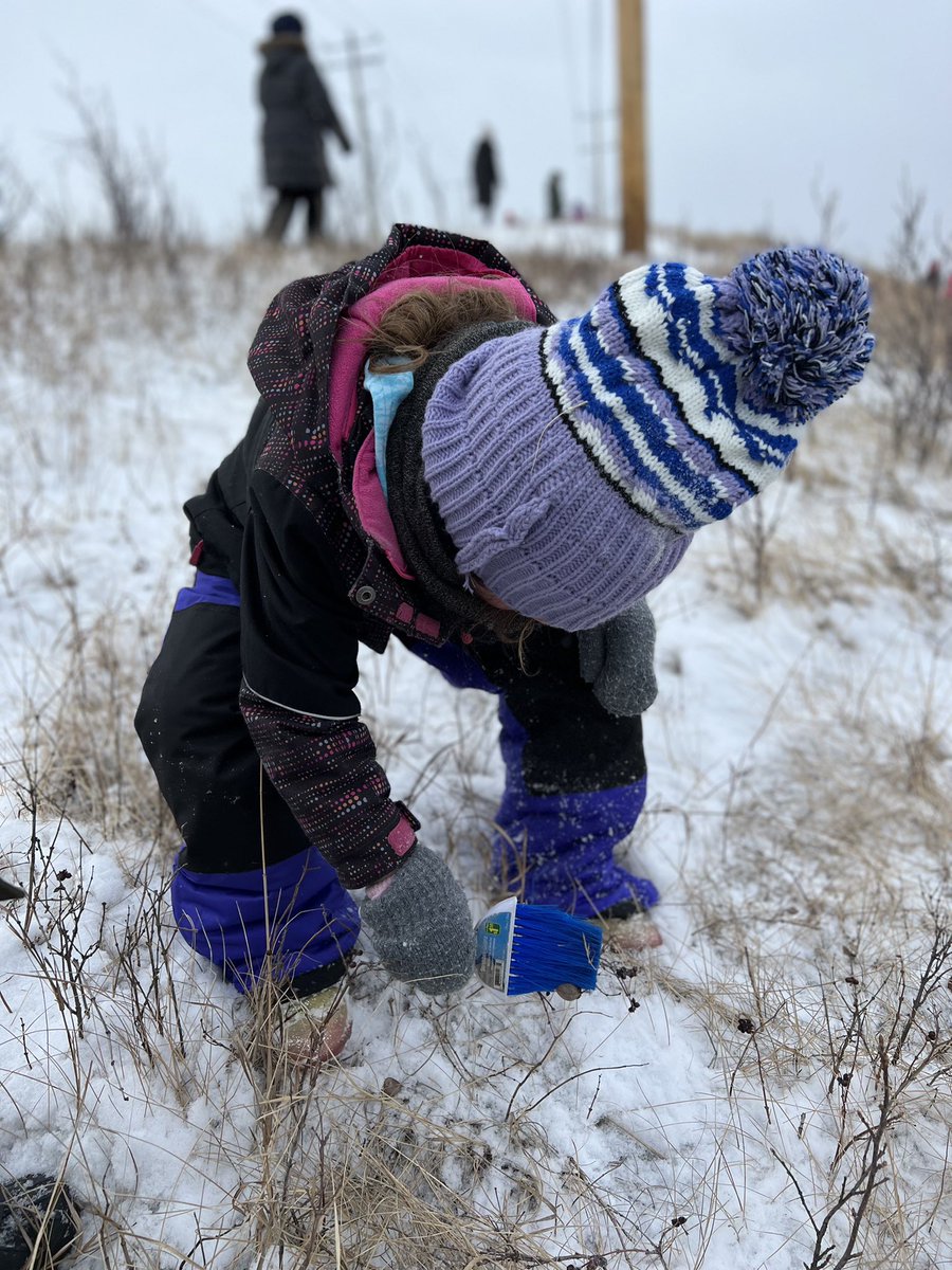 KinderVv's tweet photo. “Ki’piaapi where are you??” It may not have been the spring walk we envisioned, but we didn’t let the spring snow stop us from searching for crocus. #learningontheland #learningfromtheland #CBEIndigenousEd https://t.co/1TTz50w6cG