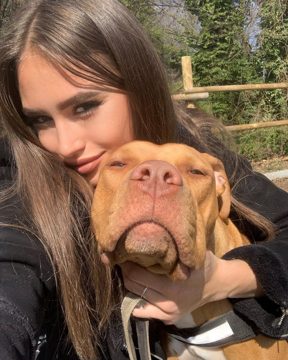 holy_pitbull's tweet photo. My #pitbull my happiness 💔 https://t.co/hmV4RgBaZi