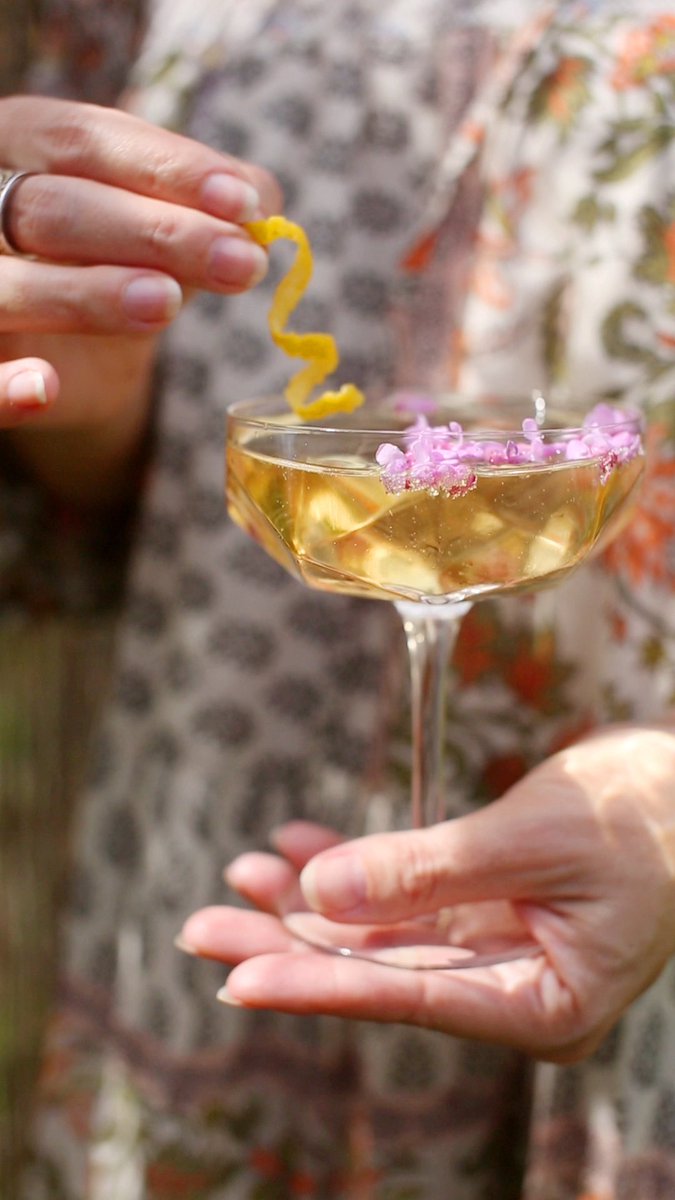 We do fun stuff like sprinkle redbud blossoms in our cocktails over in our newsletter. 🌸 Check it out + sign up! mailchi.mp/shopsaltandsun…