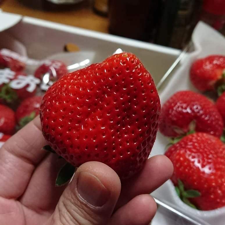 2022/04/20/7:34/☀ おうちごはん！ 食後のデザート！ 博多あまおう🍓どでかくないかぁwww