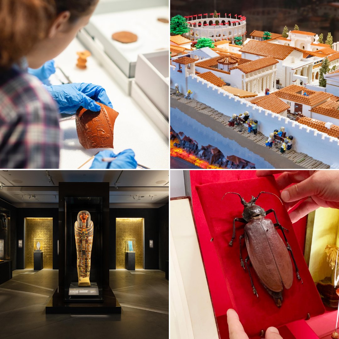 .<a href="/ccwm_sydney/">Chau Chak Wing Museum</a> has so much to see &amp; do these school holidays (did we mention it's free?!)

🧱See our Lego Pompeii
👀Visit the ancient Mummy Room
🪲Encounter the world's biggest bug
🏺Join the daily Ancient Greek Myths Children's workshop!

Plan your visit: bit.ly/3jQF3a8
