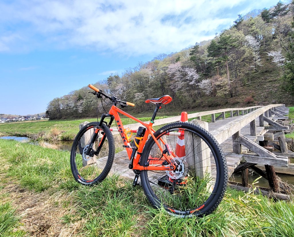 karikarirusk's tweet photo. おはようございます☀️😃❗
今日は、お休みフリーなので朝活です🚴近場の河川敷をMTBでポタッております😃桜もほぼ散りぎわですね🌸
てか…キモヂィィィィィィィイィィィ～‼️
#MTB
#TREK
#Superfly7
#自転車好きと繋がりたい https://t.co/hpZK4miV3v