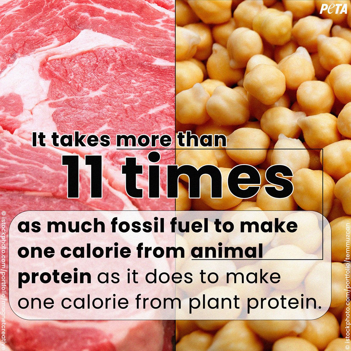 peta's tweet photo. Let that sink in for a sec. #VeganforEarthDay https://t.co/HjzlVQxMHs