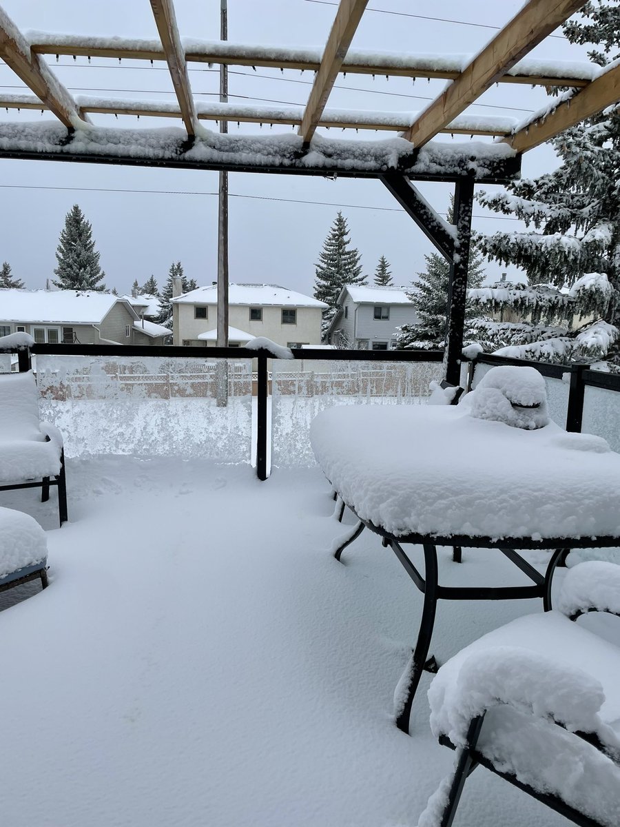 Danaye Maier tweet media