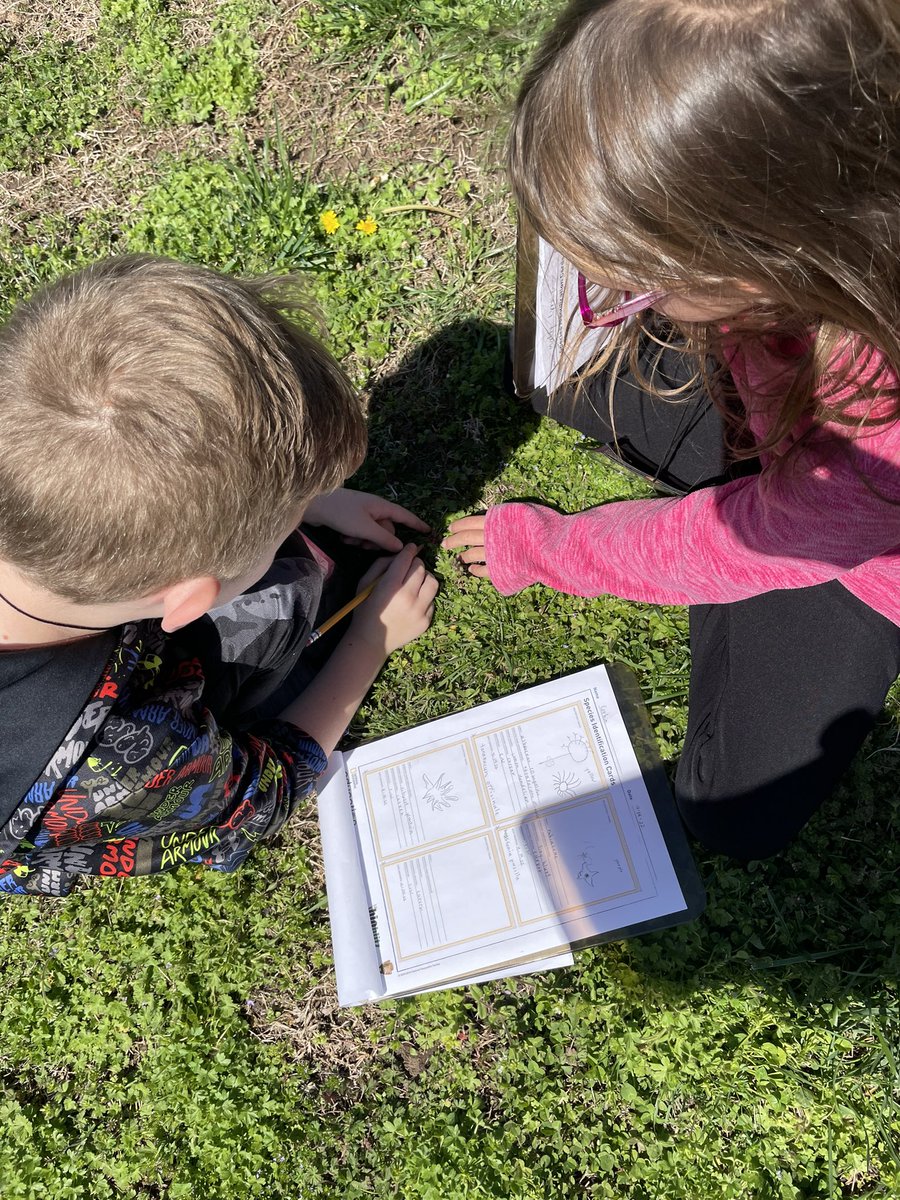 CIANeosho's tweet image. We’re off on another #explorersmindset expedition, with some amazing science tools to help! @seekbyinat is an incredible FREE tool for young biologists! #tweetingtuesday @NeoshoSD