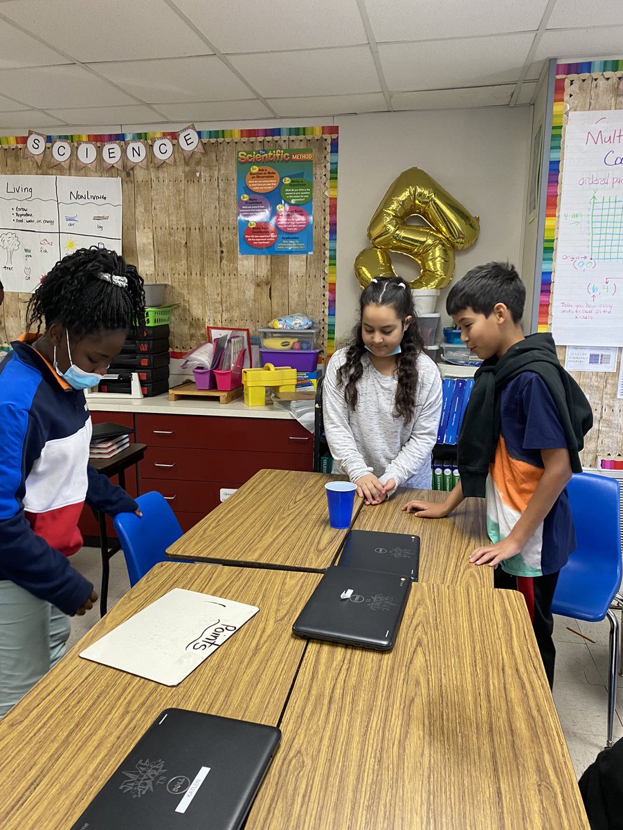 Suzanne Webster tweet media