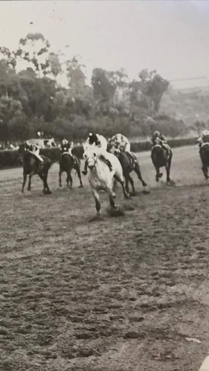 HORSERACING1002's tweet image. PUPPET STATE USA 1972 (DEDICATE-STRINGS BY FIRST FIDDLE) #PuppetState