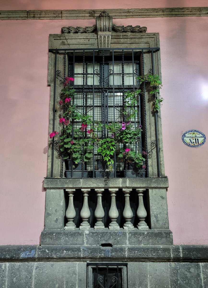 No 11
#window #colonialarchitecture #pelargoniums #mexicocity