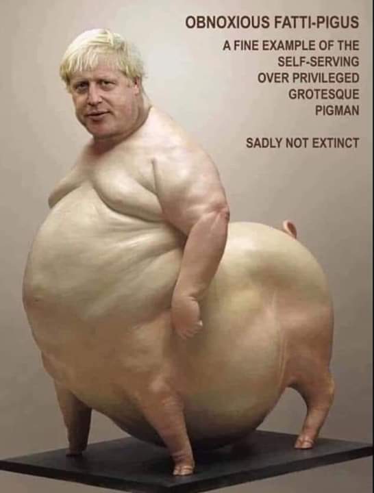 demindblower's tweet photo. #BareBackBoris https://t.co/UTfXRw70gP