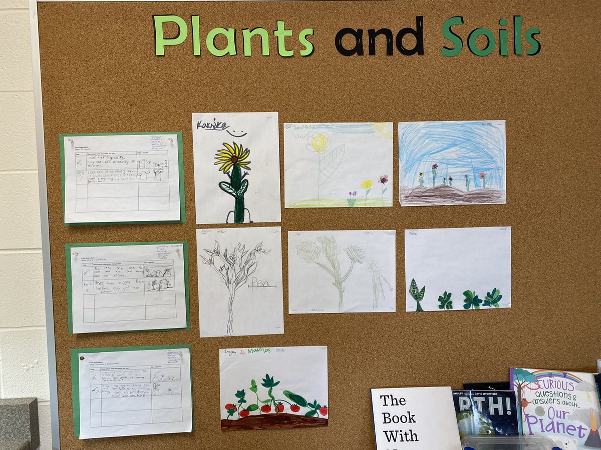 Tracking the growth of our plants and illustrating what we predict they will look like! <a href="/JamesGrievePS/">James Grieve PS</a>