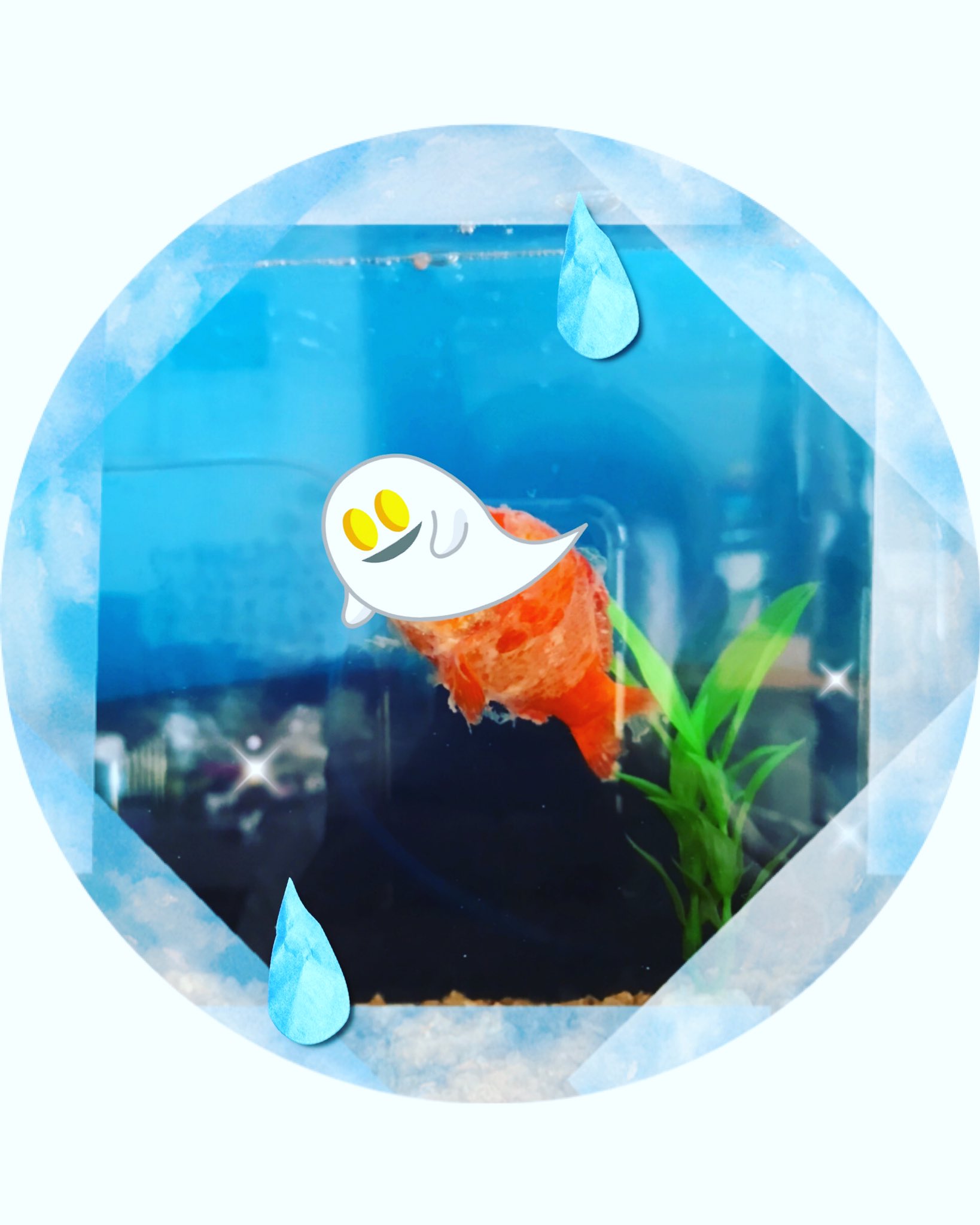 クロナミ Waveflat Twitter