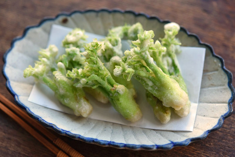 GLOBAL_LOCAL_jp's tweet image. 本日は【5の付く日ポイント5倍DAY】
event.rakuten.co.jp/campaign/card/…

#山菜取り シーズン真っ盛りです🎉⛰️⛰️⛰️
山を歩くのって気持ち良いですし、ついでに道端に生えている #山菜 、意外とかんたんに沢山採れますよ✋
item.rakuten.co.jp/masao-s/c/0000…

#globalandlocal 
 #天ぷらで食べたい #塩で食べたい