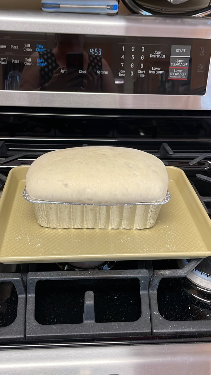 caligirltweets's tweet photo. Hey #breadtwitter, has this risen enough to go into the oven? https://t.co/Xh1tXQvyYP